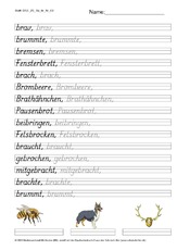 DSS_2S_Bu_br_Nr_02.pdf